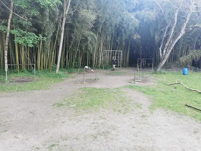 Calisthenics Park