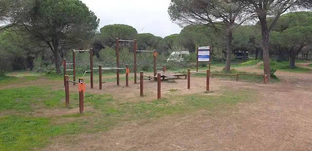 Street Work Out Calisthenics Outdoor Gym