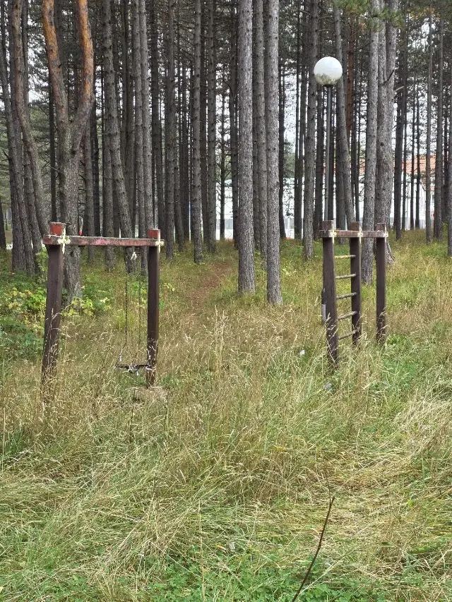 Street Workout Zlatibor
