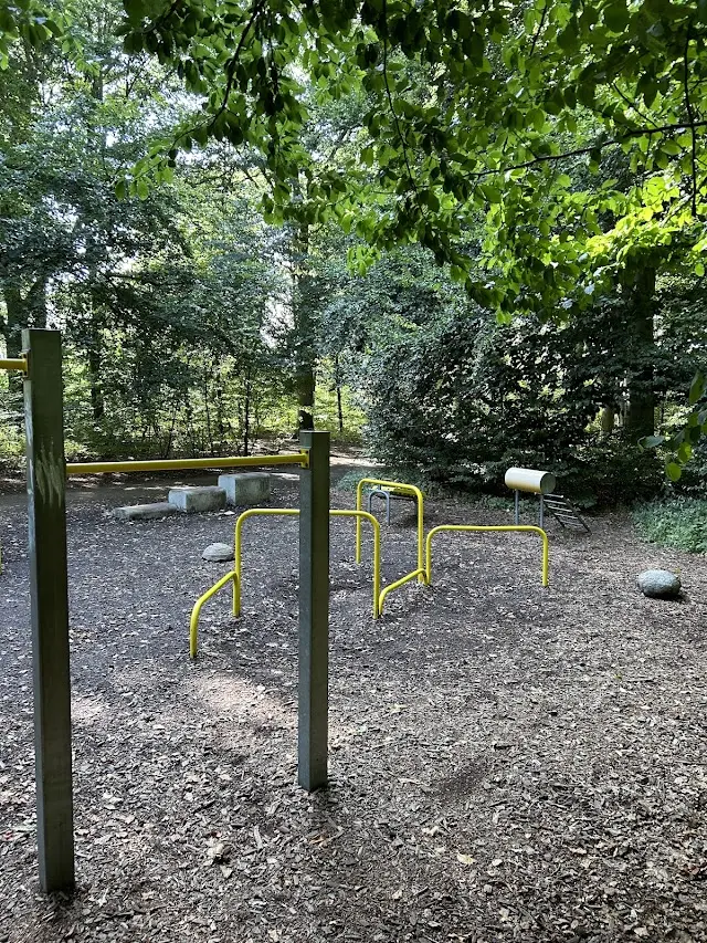 Skogens utegym