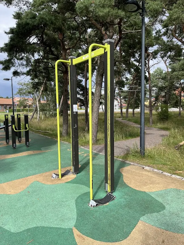 Talldungens utegym/Tallskogsslingan