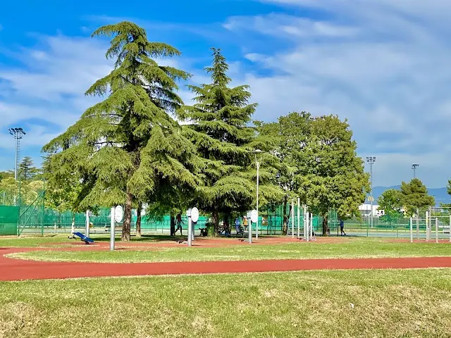 Open Gym - Calisthenics. Športni prostor za vadbo